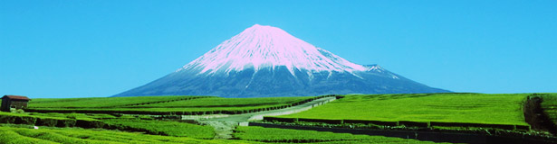 富士山の風景